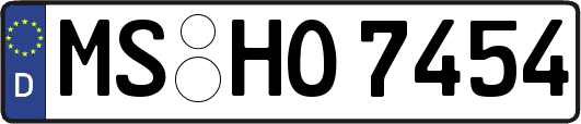 MS-HO7454