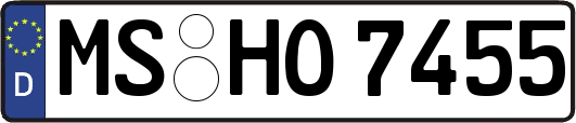 MS-HO7455