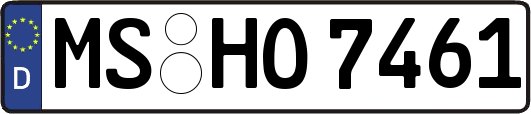 MS-HO7461