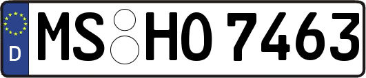 MS-HO7463