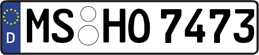 MS-HO7473