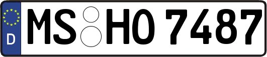 MS-HO7487