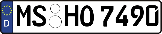 MS-HO7490