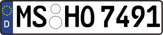 MS-HO7491
