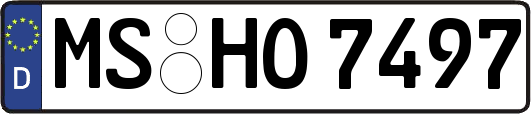 MS-HO7497