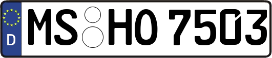 MS-HO7503