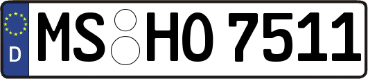 MS-HO7511