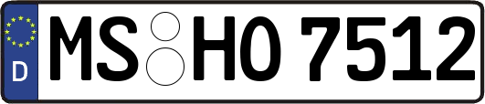 MS-HO7512