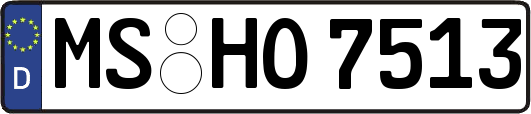 MS-HO7513