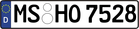 MS-HO7528