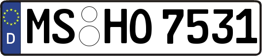 MS-HO7531