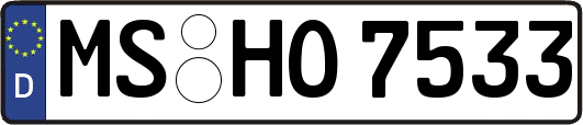 MS-HO7533