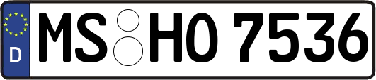 MS-HO7536