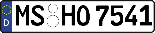 MS-HO7541