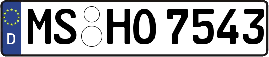 MS-HO7543