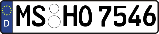 MS-HO7546