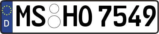 MS-HO7549