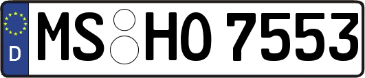 MS-HO7553