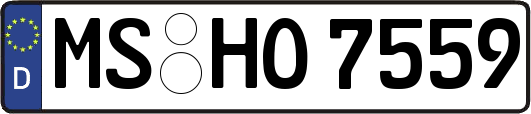 MS-HO7559