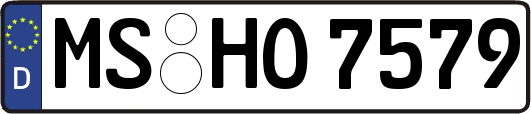 MS-HO7579