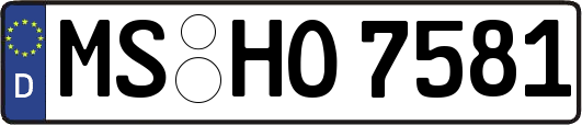 MS-HO7581