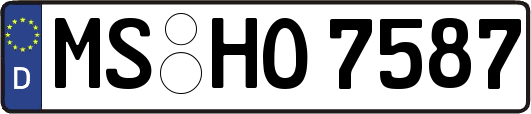 MS-HO7587
