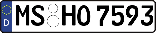 MS-HO7593
