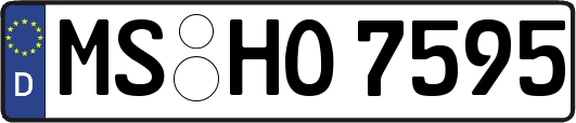 MS-HO7595