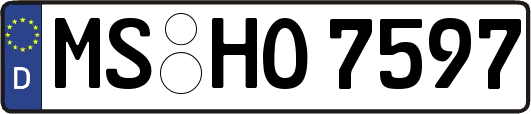 MS-HO7597