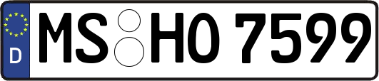 MS-HO7599