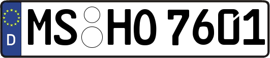 MS-HO7601