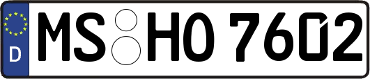 MS-HO7602