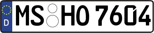MS-HO7604