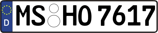 MS-HO7617