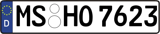 MS-HO7623