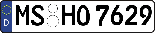 MS-HO7629