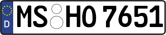 MS-HO7651