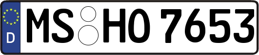 MS-HO7653