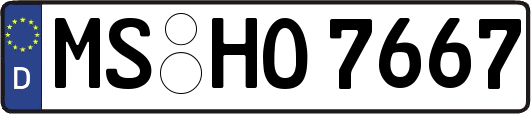 MS-HO7667