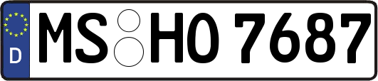 MS-HO7687