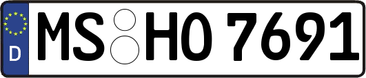 MS-HO7691