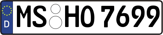 MS-HO7699