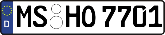 MS-HO7701