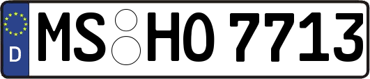 MS-HO7713