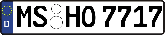 MS-HO7717