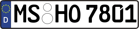 MS-HO7801