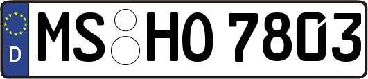 MS-HO7803