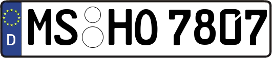 MS-HO7807