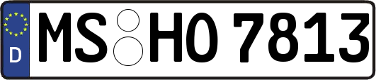 MS-HO7813