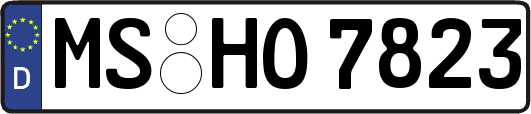 MS-HO7823